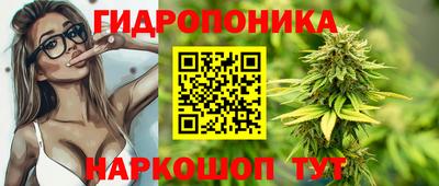 гидропоника Кинель
