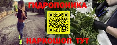трава Кимры