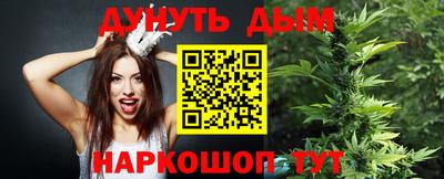 гидропоника Кинель