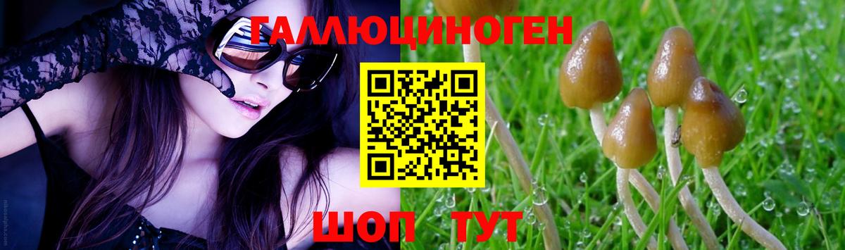 Галлюциногенные грибы мухоморы  Вход с VPN  Красногорск 